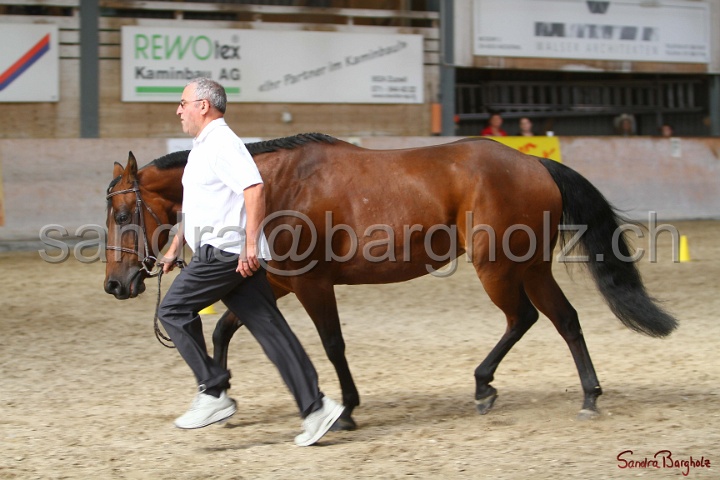 24-ApHC HIH_031.jpg